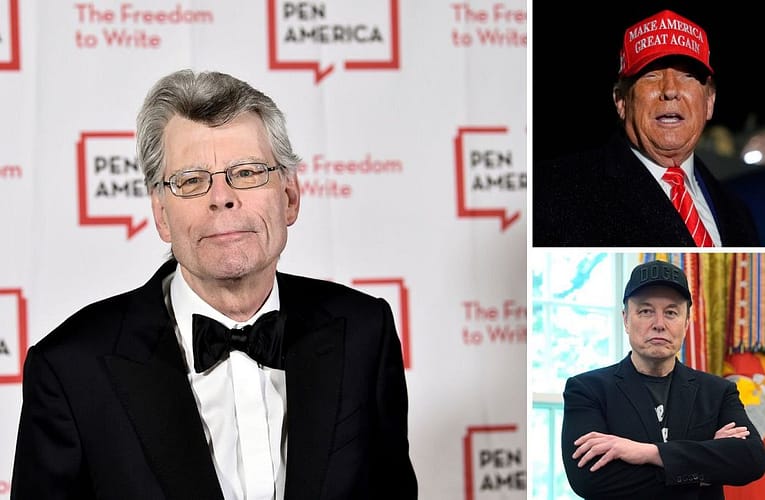 Stephen King puts Trump vs Musk feud into perspective with savage post – Euronews.com
